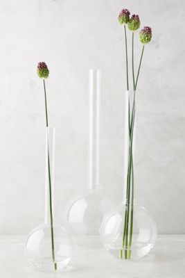 Laboratory Vase