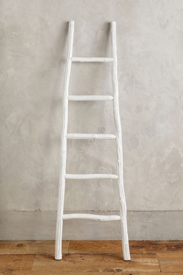 Minimalist Ladder #1