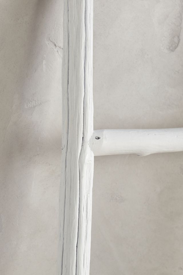 Minimalist Ladder #2