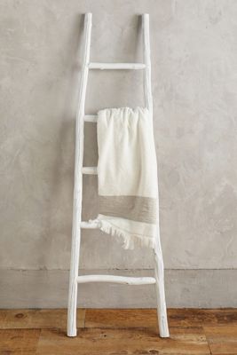 Minimalist Ladder