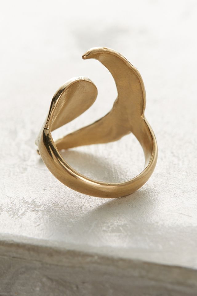 Equinox Ring #2