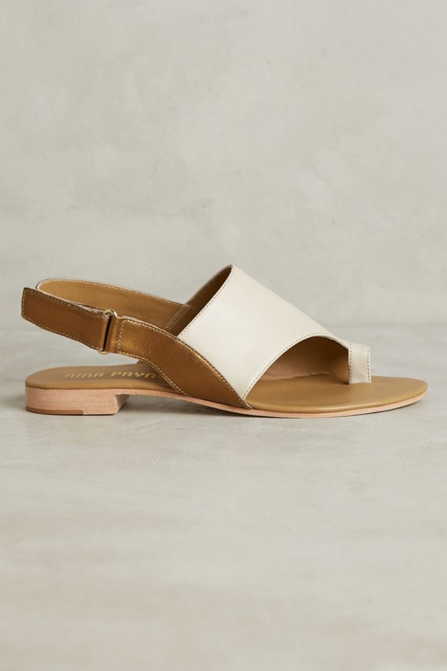 Nina Payne Desi Slides #1