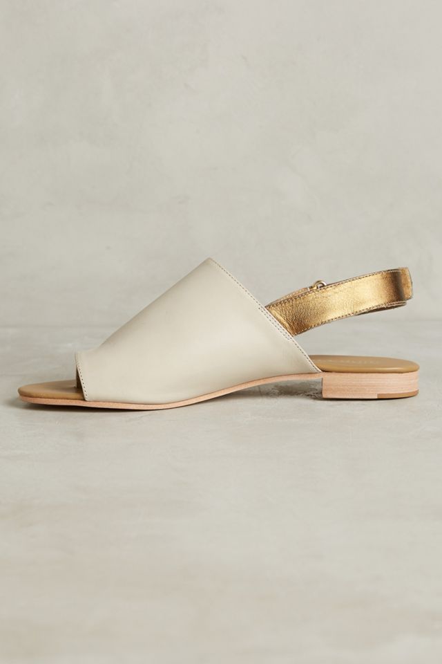 Nina Payne Desi Slides #2