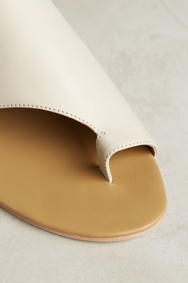 Nina Payne Desi Slides #4