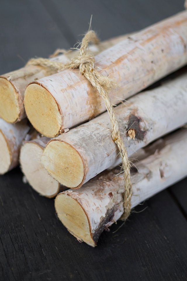 Birch Log Bundle, Large #1