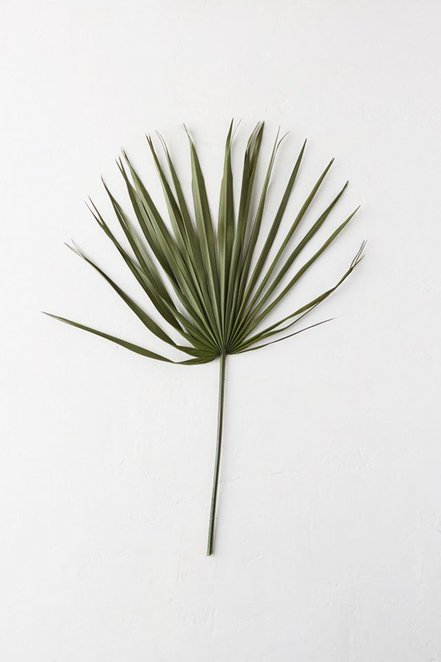 Preserved Palmetto Frond Bunch #1