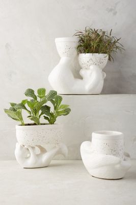 Lake House Planter