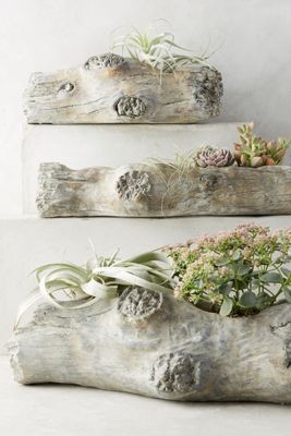 Tree Knots Planter