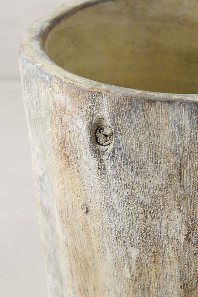 Tree Trunk Planter #4