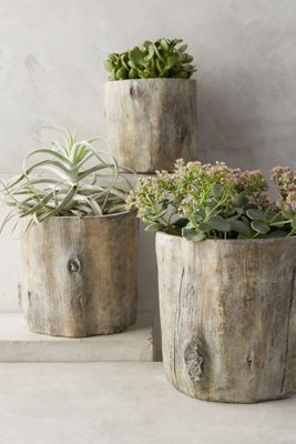 Tree Trunk Planter