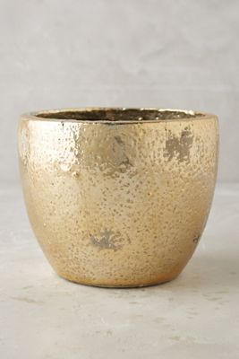Aureate Pot