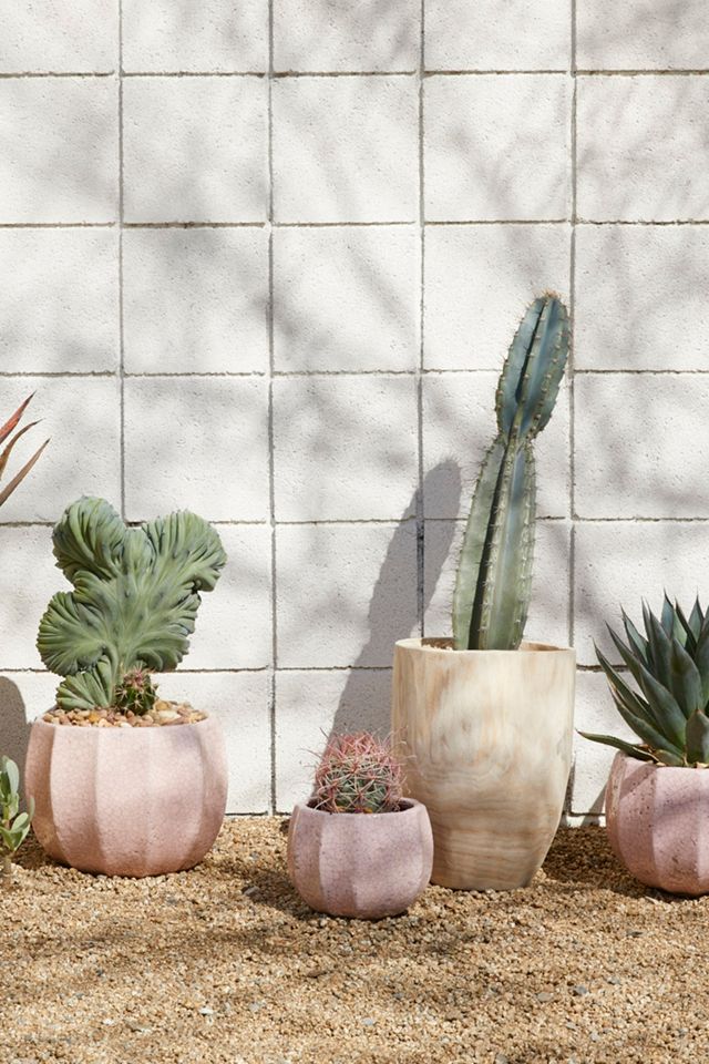 Ridged Terracotta Pot #4