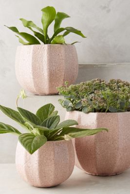 Ridged Terracotta Pot