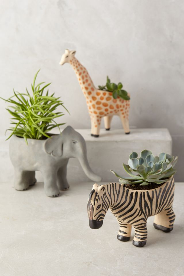 Wild Wanderer Planter #1