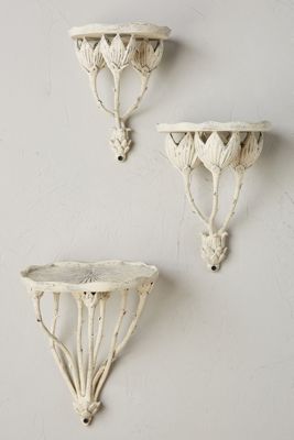 Seed Pod Shelf
