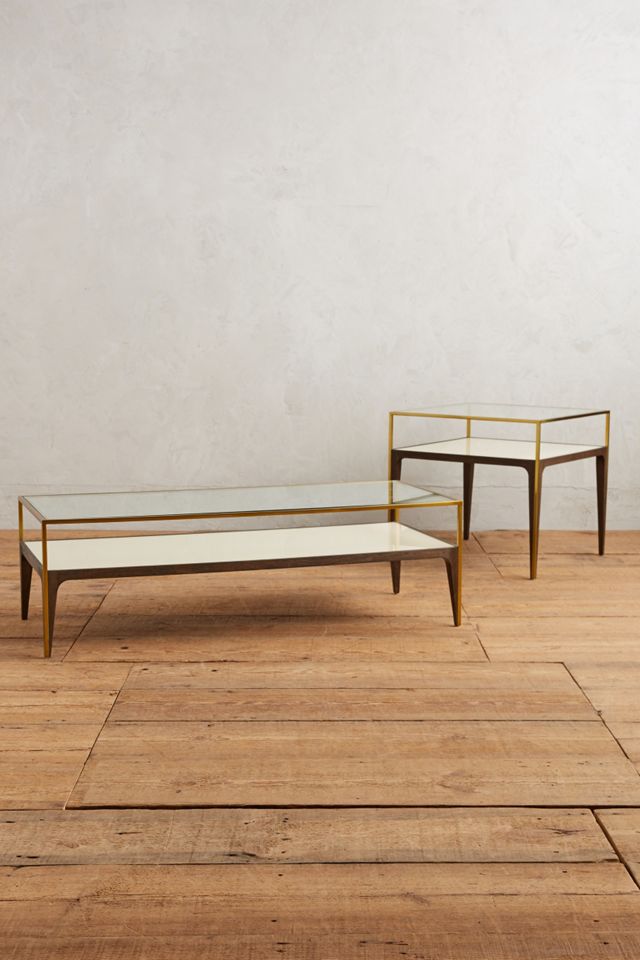 Silhouette Display Coffee Table #2