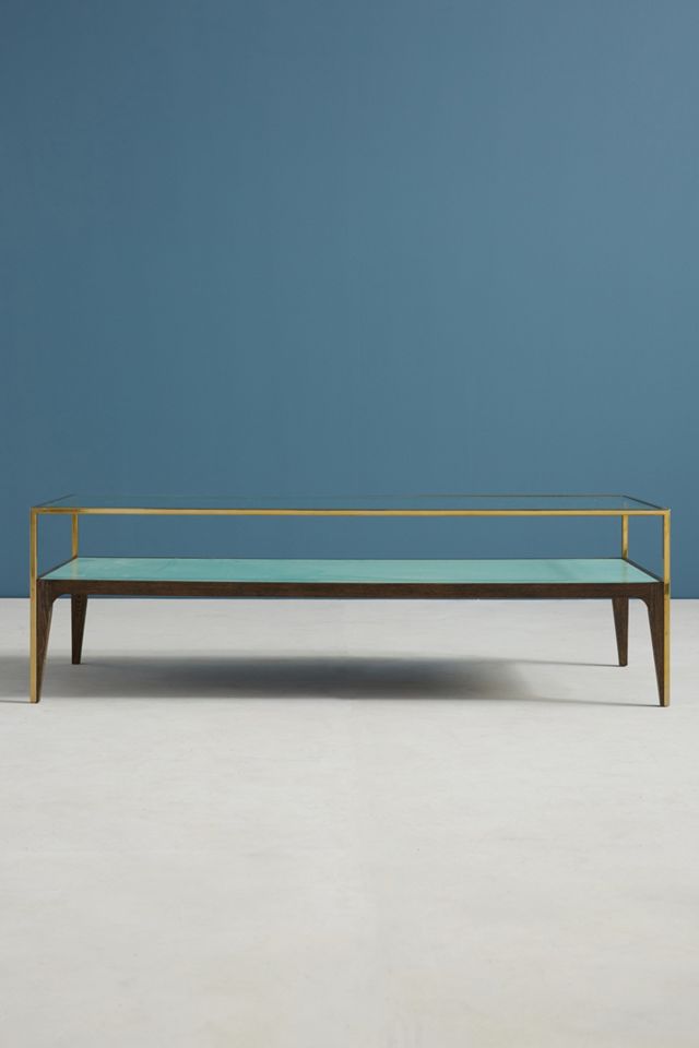 Silhouette Display Coffee Table #1