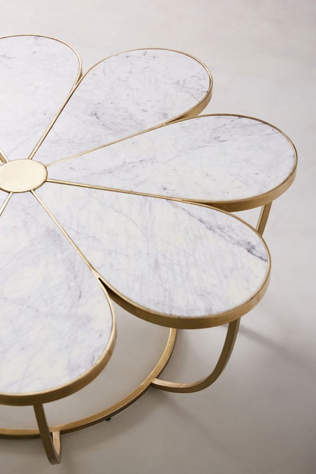 Boutonniere Coffee Table #2