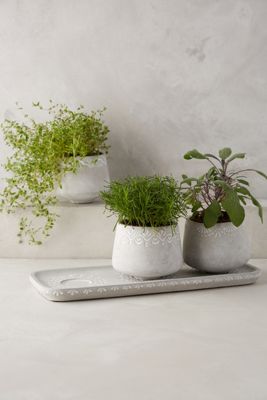 Netara Herb Planter Set