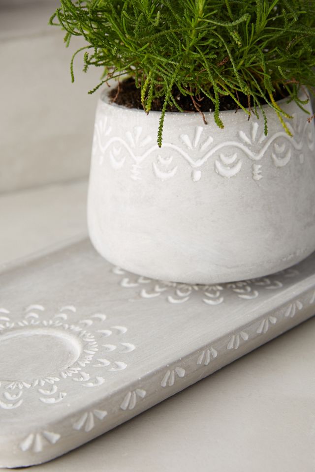 Netara Herb Planter Set #1