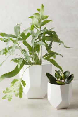 Cut Ceramic Planter