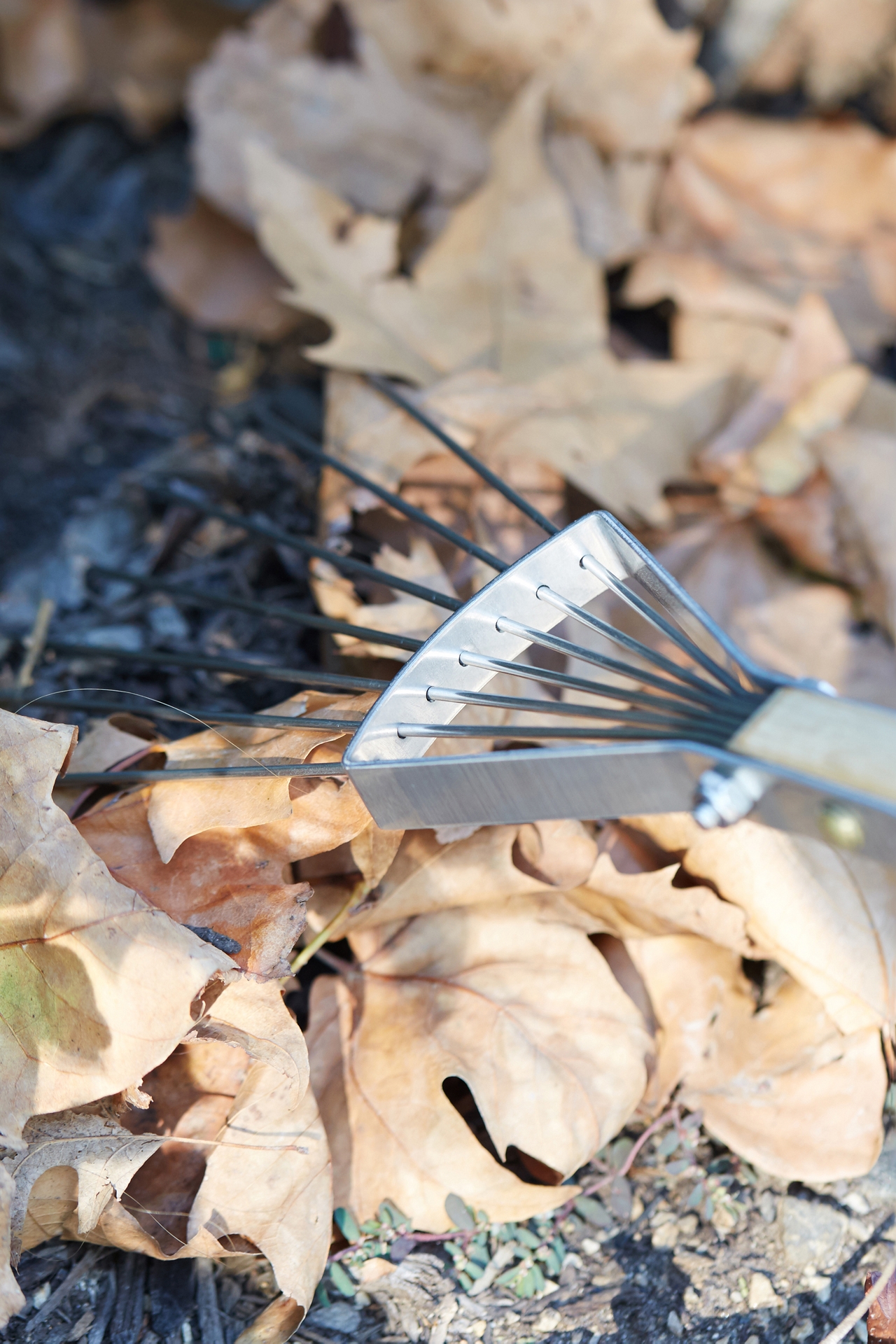 Sneeboer Leaf Rake