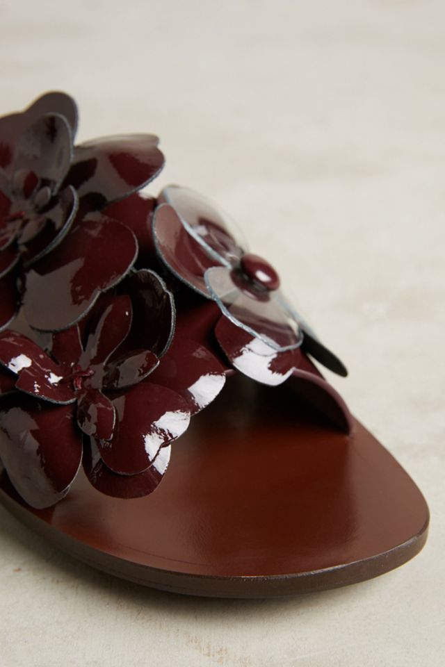 See by Chloe Floral Slide Sandals #3
