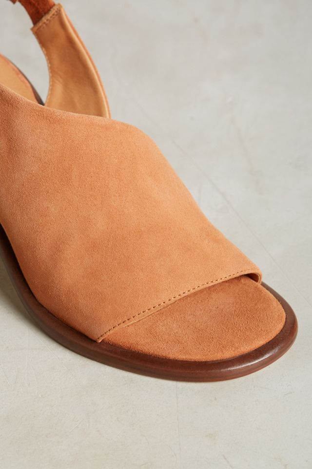 Miista Elizabeth Shooties #3