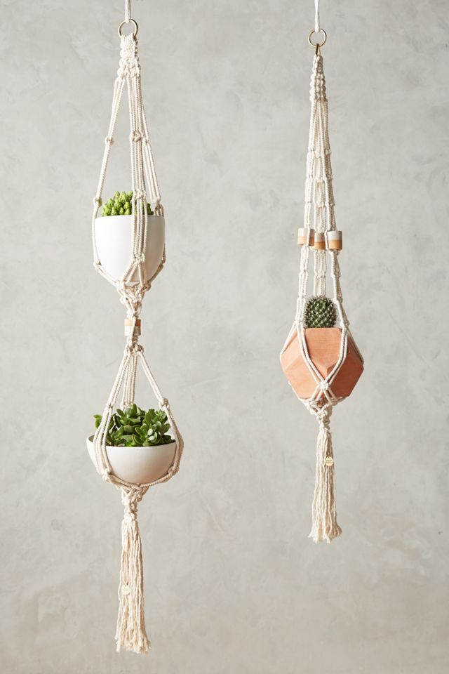 Apprendre Plant Hanger #2