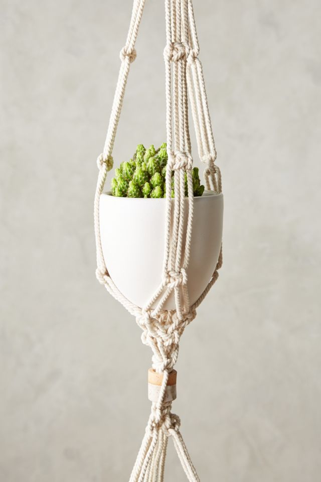 Apprendre Plant Hanger #1