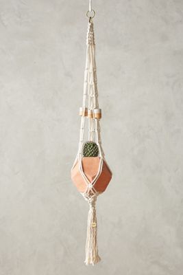 Apprendre Plant Hanger
