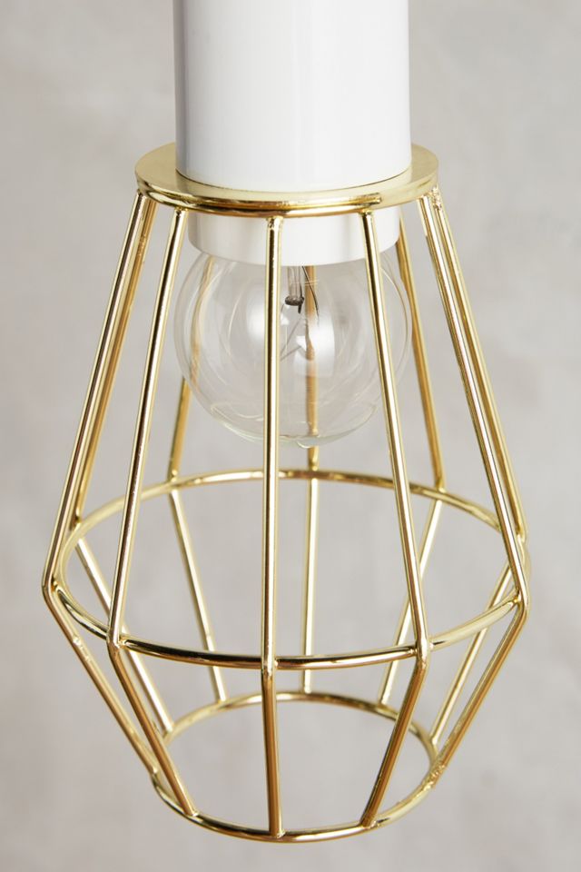 Caged Pendant #2