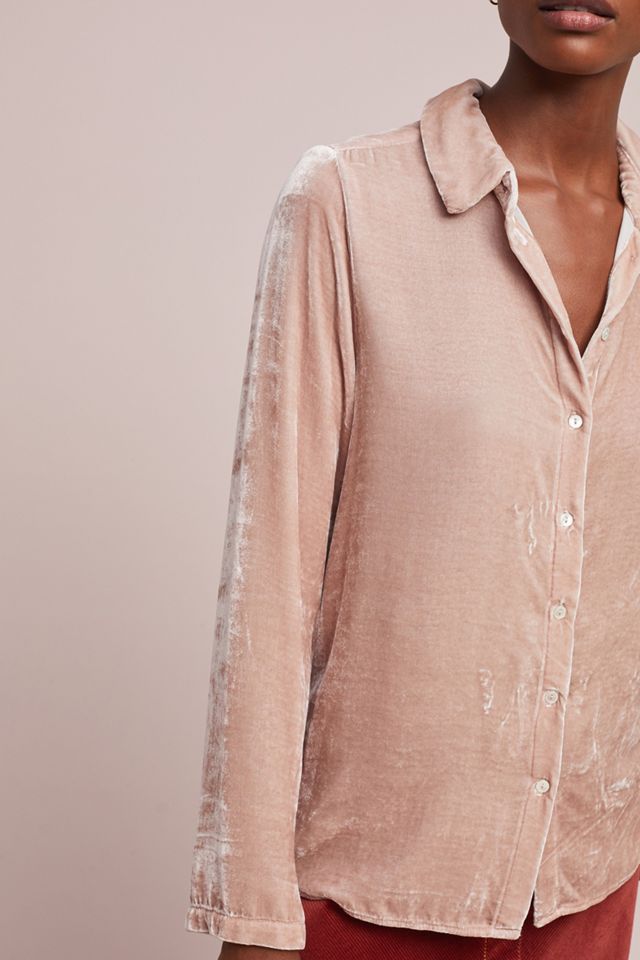 Jensine Velvet Buttondown #2