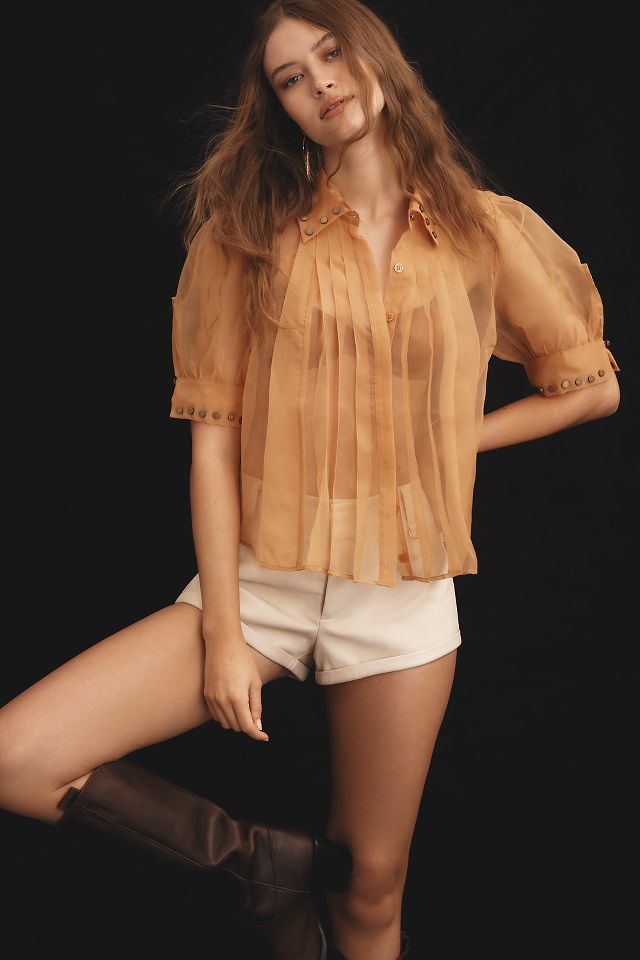 Sheer top short sleeve on sale