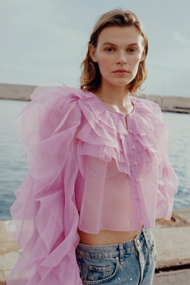 Maeve Organza Ruffled Sheer Top | Anthropologie
