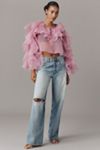 Maeve Organza Ruffled Sheer Top