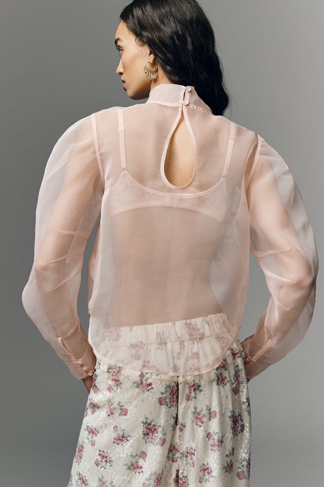 【Èaphi】volume sleeve sheer blouse volume sleeve sheer blouse | ファッション通販サイト NUGU
