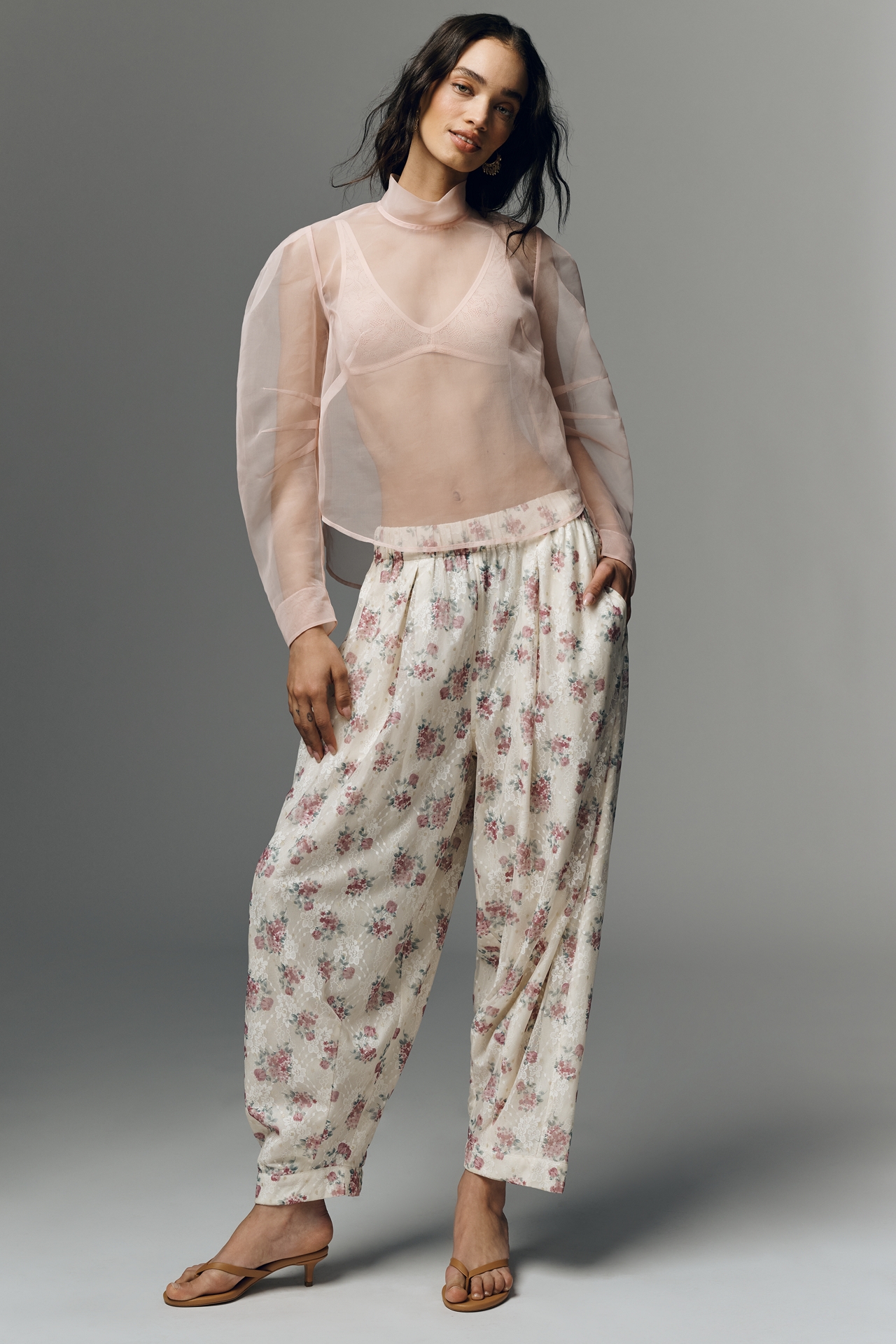 Maeve Sheer Long-Sleeve High-Neck Blouse