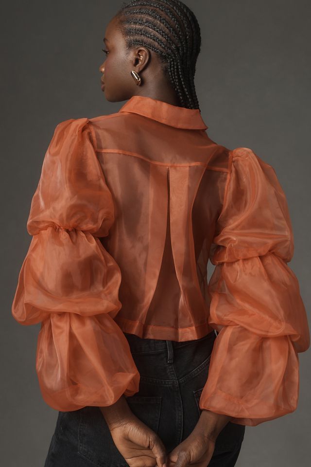 Sunday in Brooklyn Sheer Puff-Sleeve Buttondown Shirt #1