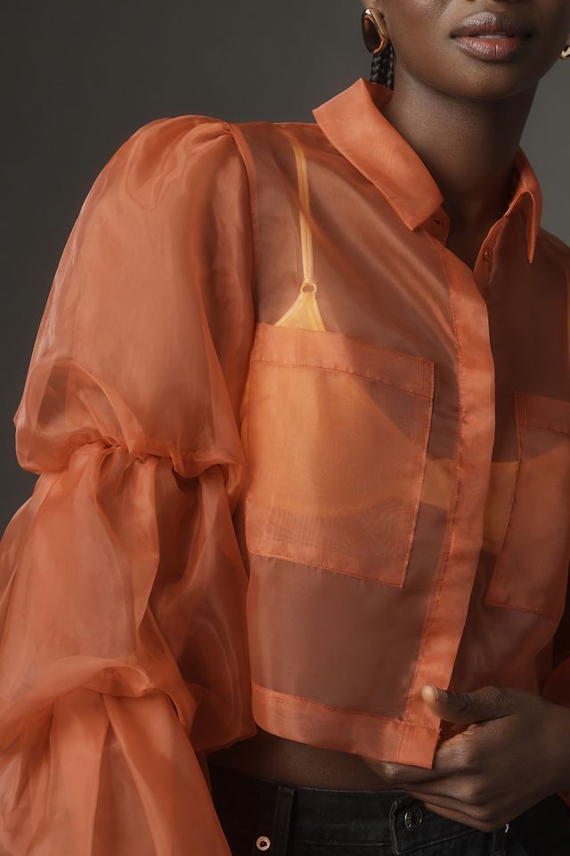 Sunday in Brooklyn Sheer Puff-Sleeve Buttondown Shirt #2