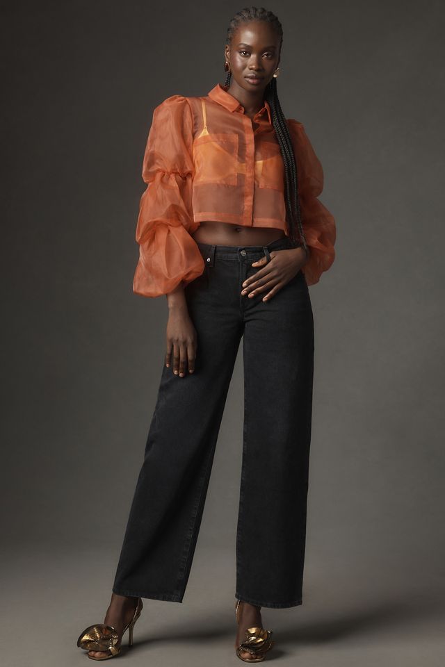 Sunday in Brooklyn Sheer Puff-Sleeve Buttondown Shirt #3