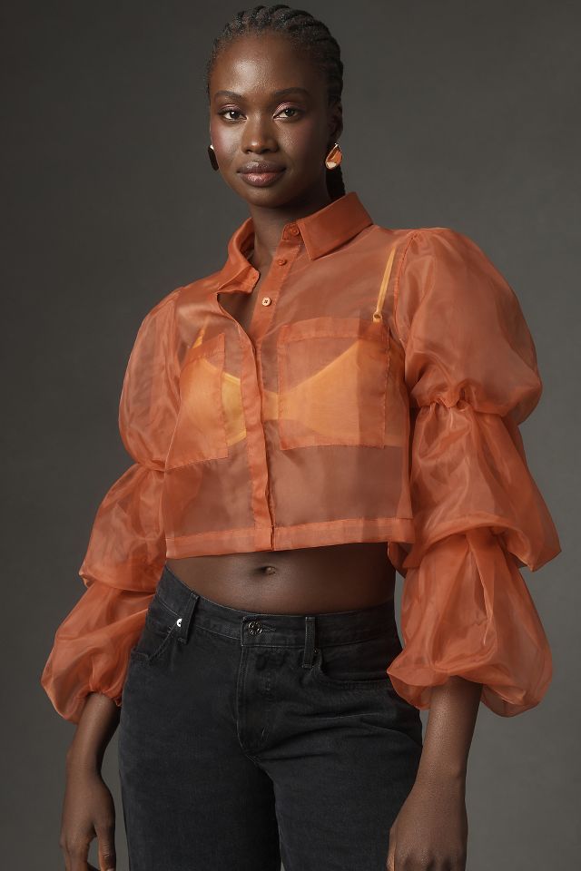 Sheer puff store sleeve crop top