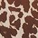 Ombre Leopard Print