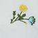 Broderie Fleurs