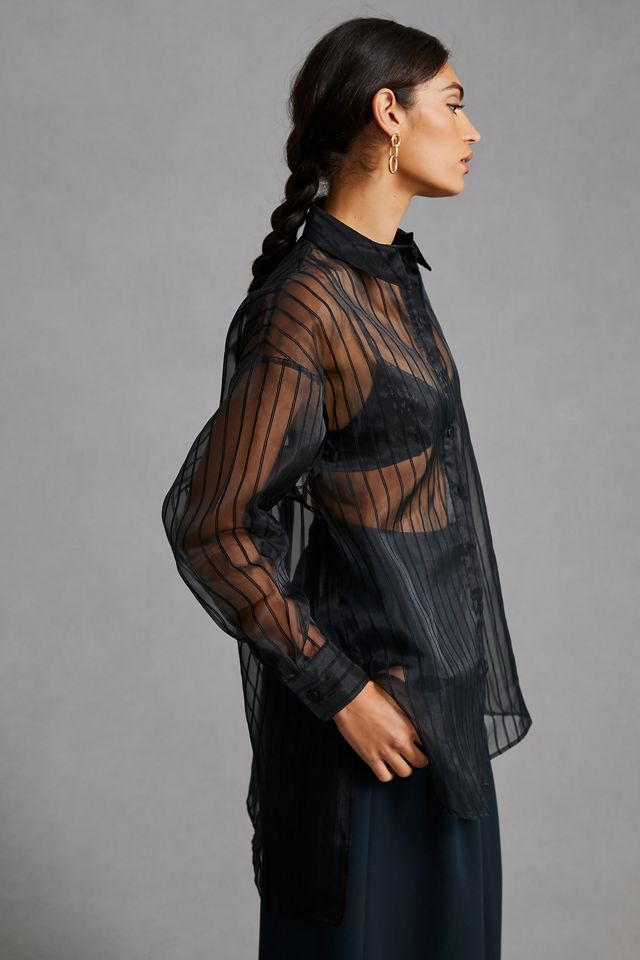 Daniel Rainn Sheer Striped Blouse #3
