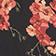 Navy Floral