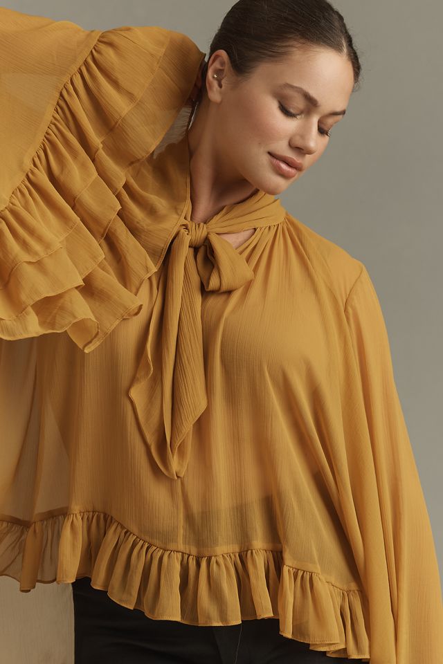 Let Me Be Sheer Tie-Neck Ruffle Blouse #6