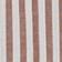 Brown Stripe Flower