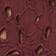 Burgendy Plum