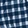 Blue Plaid